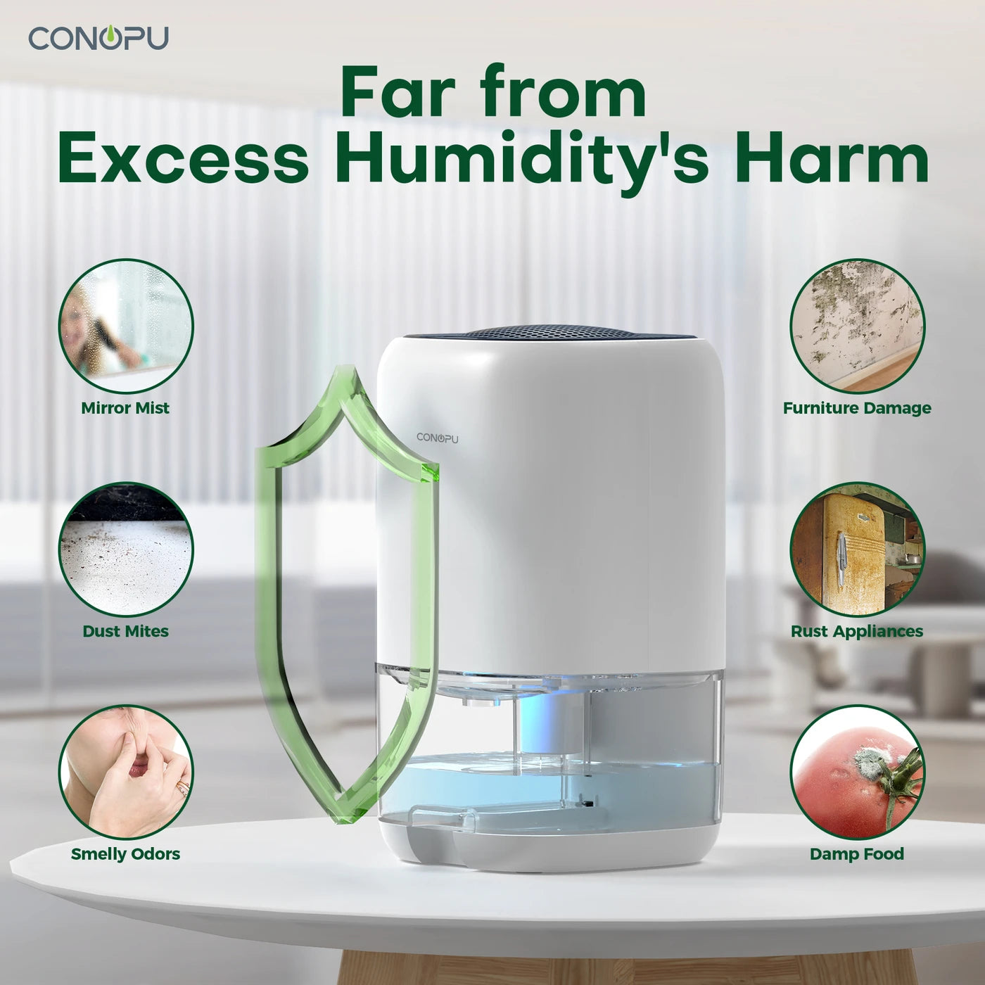 CONOPU Dehumidifier CS01H, 1000ml Water Tank, Ideal for Small Spaces, 450ml/Day Moisture Removal, Ultra-Quiet, 7-Color LED Ambient Light, Removable & Washable Tank, Portable