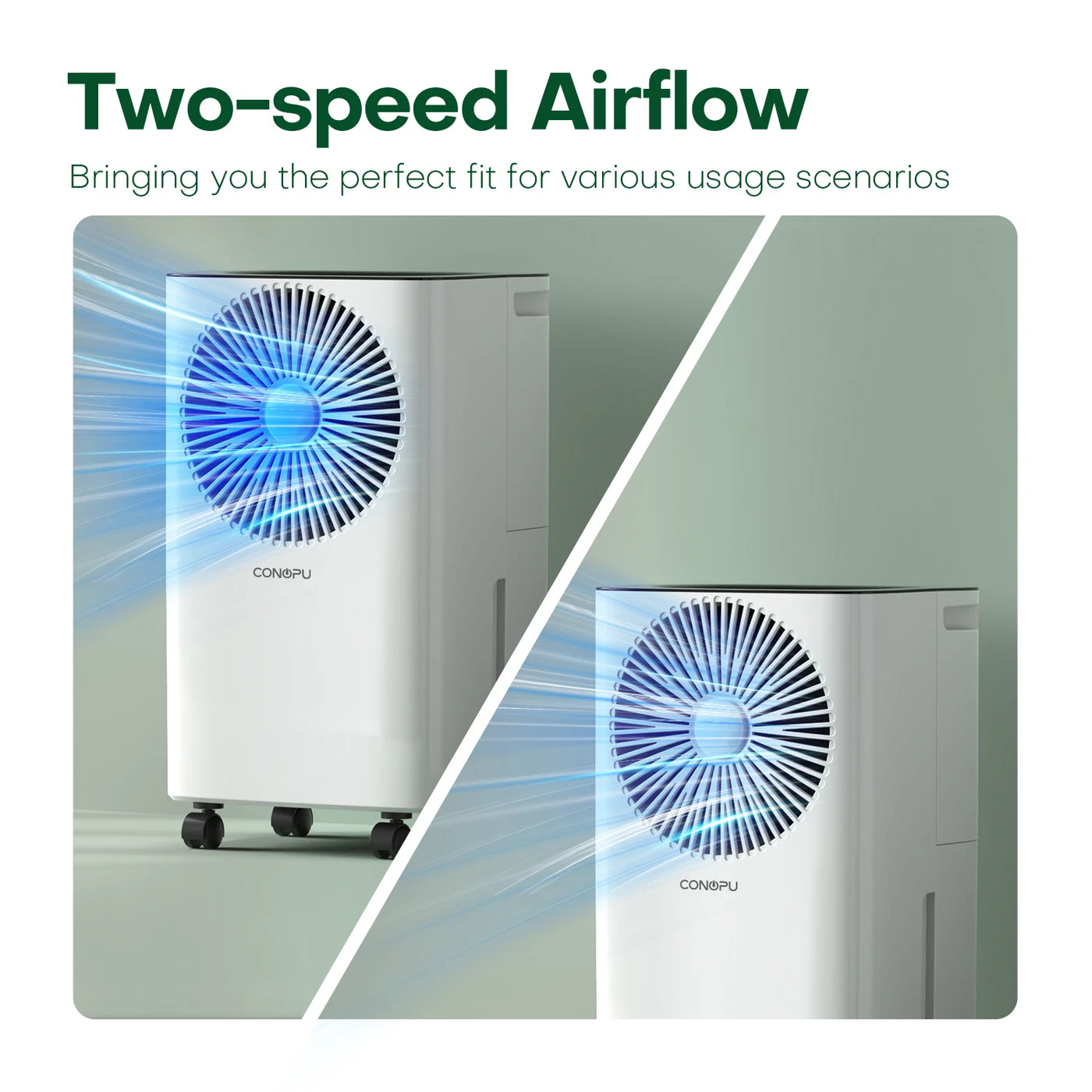 CONOPU 12L/day Dehumidifier CSD08 - Auto Humidity Control, 24H Timer & Clothes Drying Mode, Energy-Efficient, Ideal for Apartments, Basements, Laundry Rooms